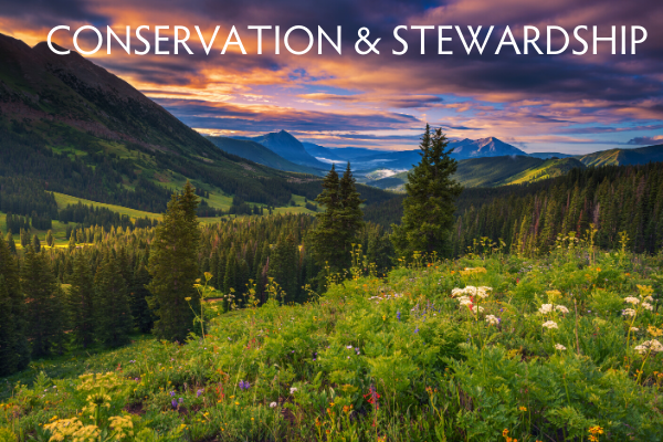 Conservation & Stewardship