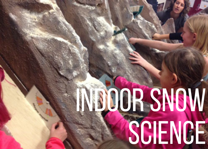 Snow Science